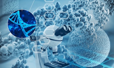 一?？苿?chuàng)“種子”孕出一家“隱形冠軍”