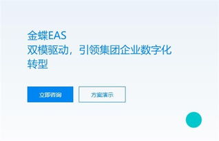 青浦區金蝶EAS系統優選 上海奔逐信息科技提供高性價比信息系統集成服務